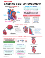 Cardiac Nursing Study Notes Bundle - Image 2