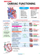 Cardiac Nursing Study Notes Bundle - Image 3