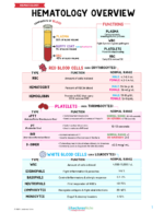 Hematology Nursing Study Notes Bundle - Image 2