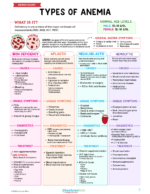 Hematology Nursing Study Notes Bundle - Image 3