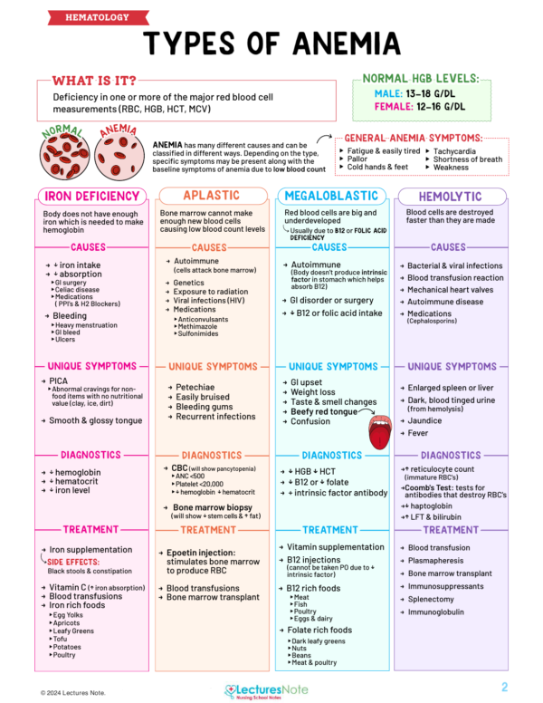 Hematology Nursing Study Notes Bundle - Image 3