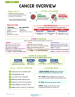 Immune System Nursing Study Notes Bundle - Image 3