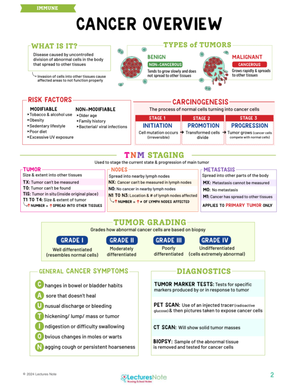 Immune System Nursing Study Notes Bundle - Image 3