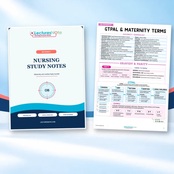 OB/Maternity Nursing Study Notes Bundle - Image 2