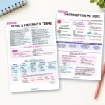 OB/Maternity Nursing Study Notes Bundle - Image 3