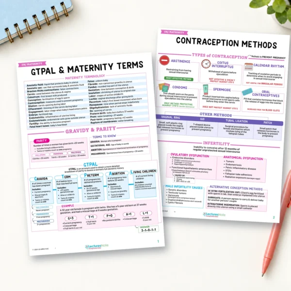 OB/Maternity Nursing Study Notes Bundle - Image 3