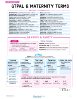 OB/Maternity Nursing Study Notes Bundle - Image 2
