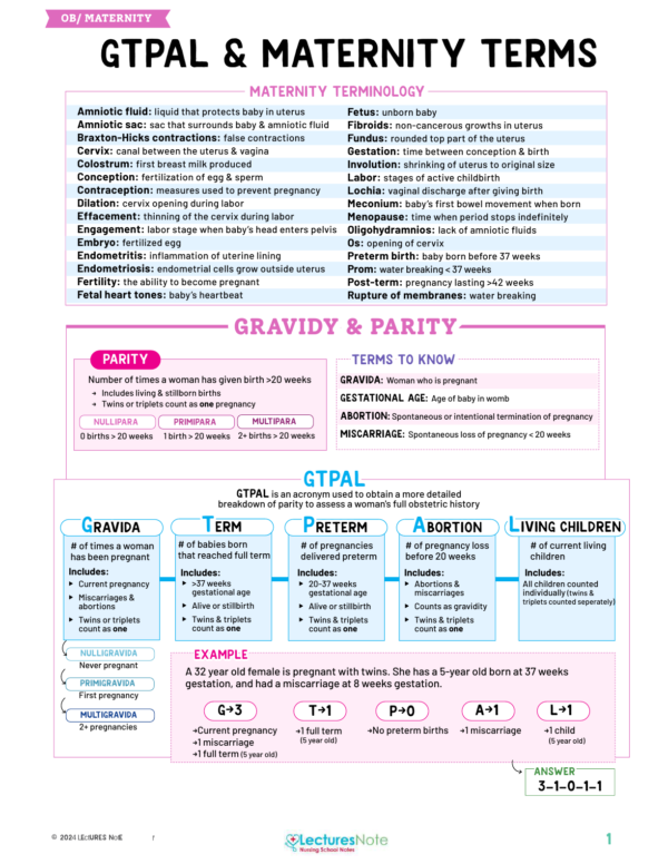 OB/Maternity Nursing Study Notes Bundle - Image 2
