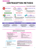 OB/Maternity Nursing Study Notes Bundle - Image 3