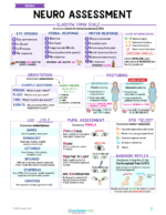Medical-Surgical Study Notes Bundle - Image 2