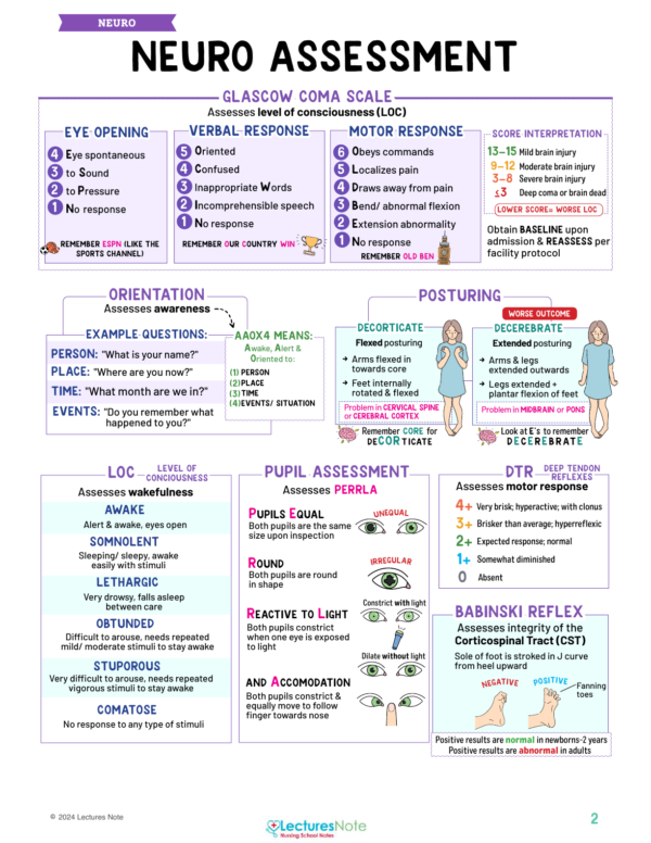 Medical-Surgical Study Notes Bundle - Image 2