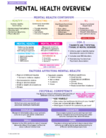 Mental Health Nursing Study Notes Bundle - Image 2