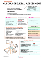 Musculoskeletal Nursing Study Notes Bundle - Image 3