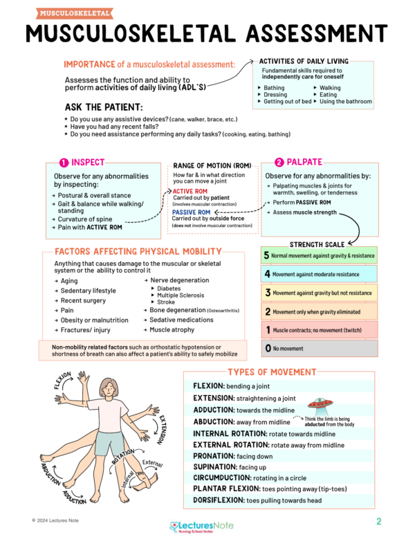 Musculoskeletal Nursing Study Notes Bundle - Image 3