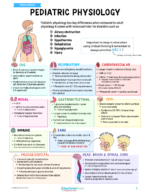 Pediatrics Nursing Study Notes Bundle - Image 2