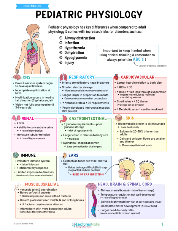 Pediatrics Nursing Study Notes Bundle - Image 2