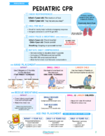 Pediatrics Nursing Study Notes Bundle - Image 3