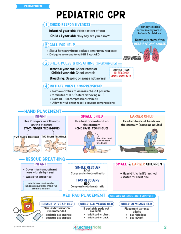 Pediatrics Nursing Study Notes Bundle - Image 3