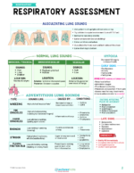 Respiratory Nursing Study Notes Bundle - Image 3