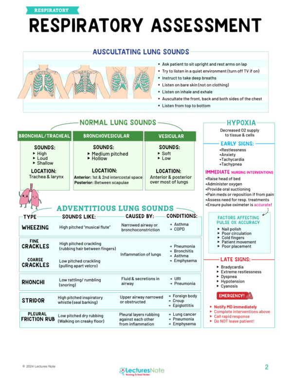 Respiratory Nursing Study Notes Bundle - Image 3